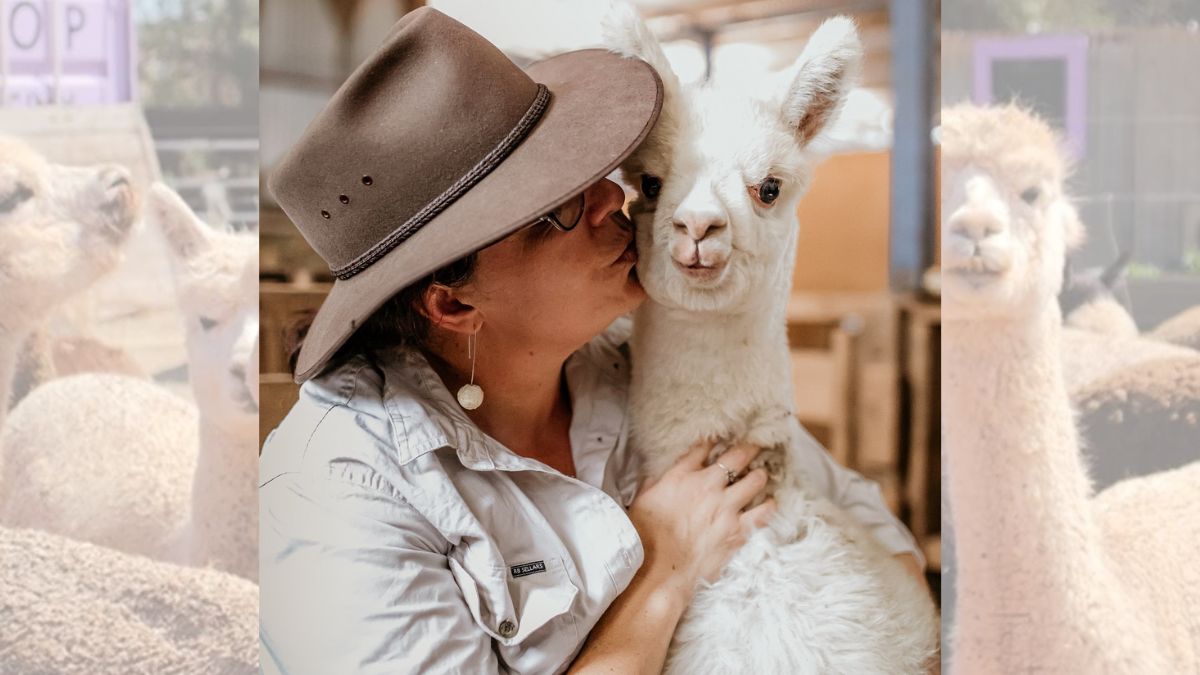 Quentin Park Alpacas near Peterborough is building supported work experience in regional South Australia for people with disability.