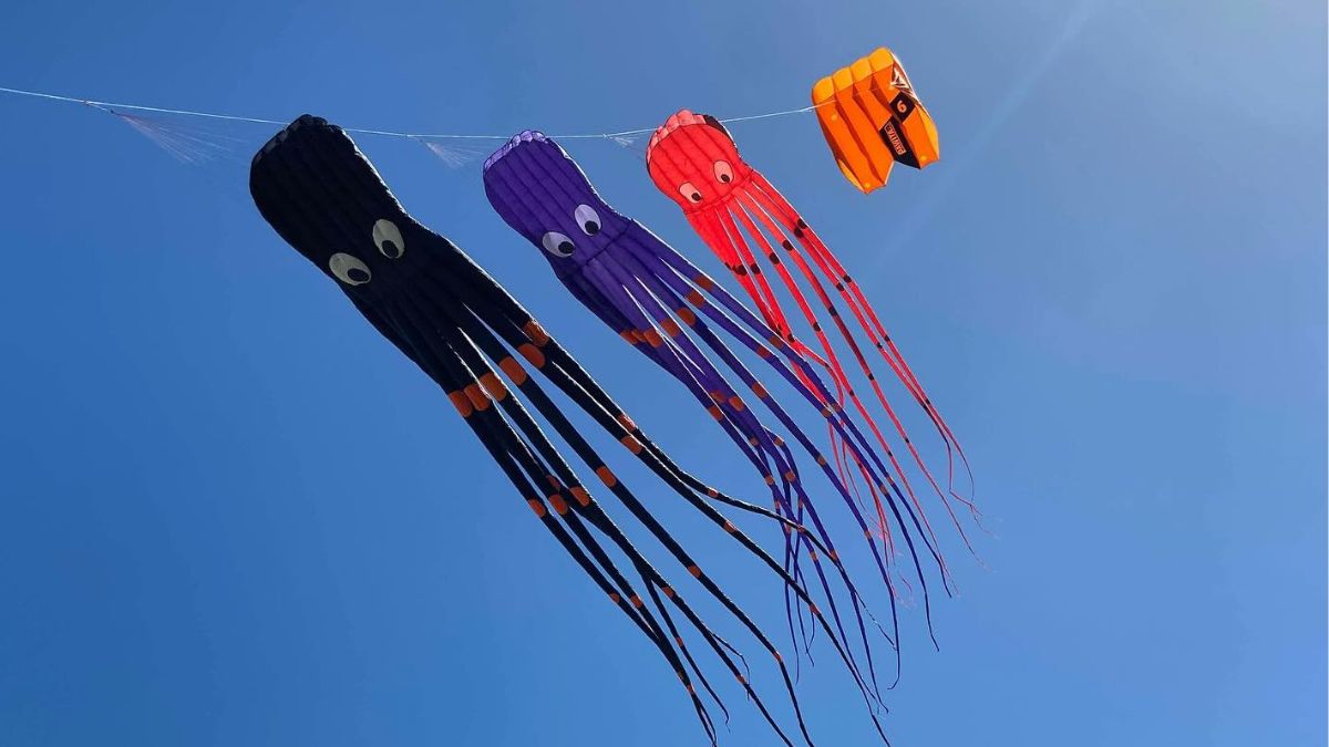 Giant kites in Beachport return on Sunday January 18, with kite displays, kids kite making, and free family fun at the Beachport surf beach.