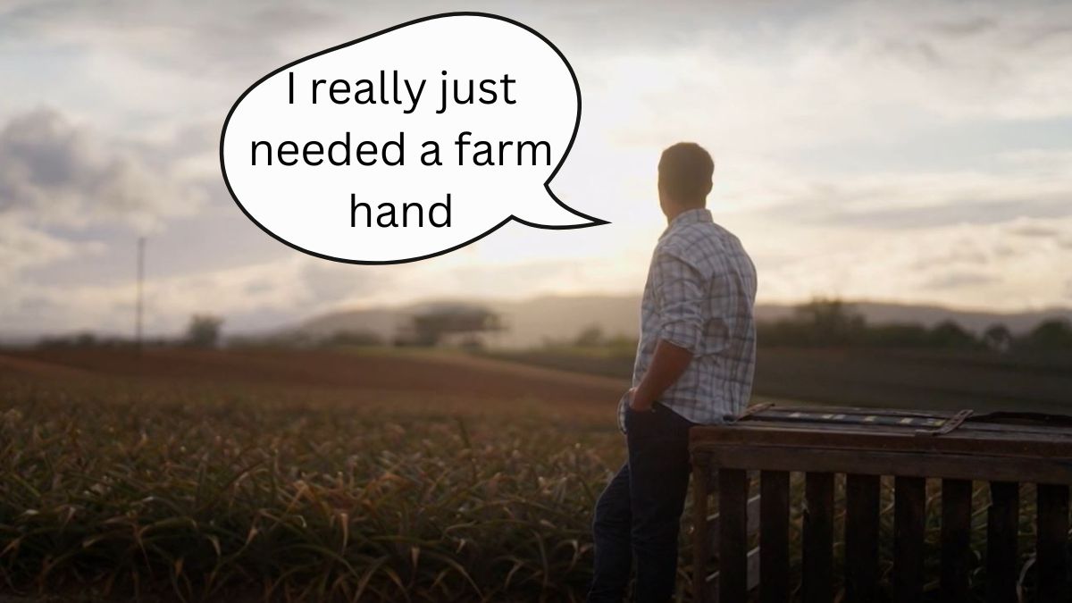 Farmer Wants a Wife Recap