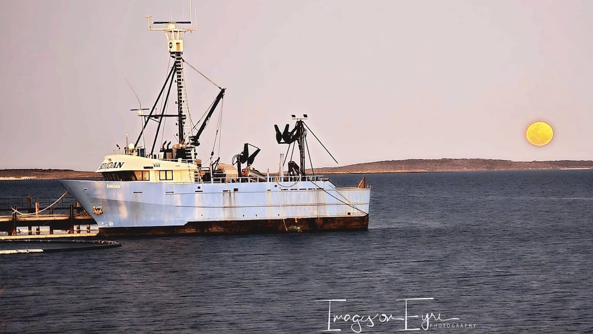 New grants of up to $275,000 announced for SA’s fishing and aquaculture sector under the $102.5M Algal Bloom Summer Plan.