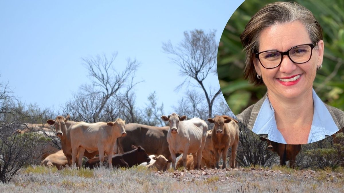 Gillian Fennell has experienced delayed RFDS flights and fortnightly doctor visits. Remote healthcare in South Australia has serious gaps.