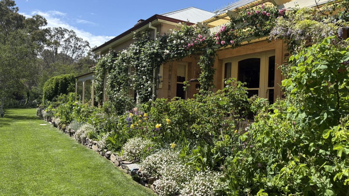 The Heritage Garden at Sevenhill opens its gates this Sunday, November 2. Enjoy roses in bloom, live music, food, wine, and stalls.