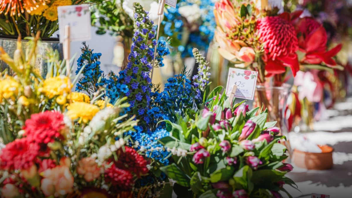 Colourful bloom at SA Spring Garden Festival held yearly at Mount Pleasant